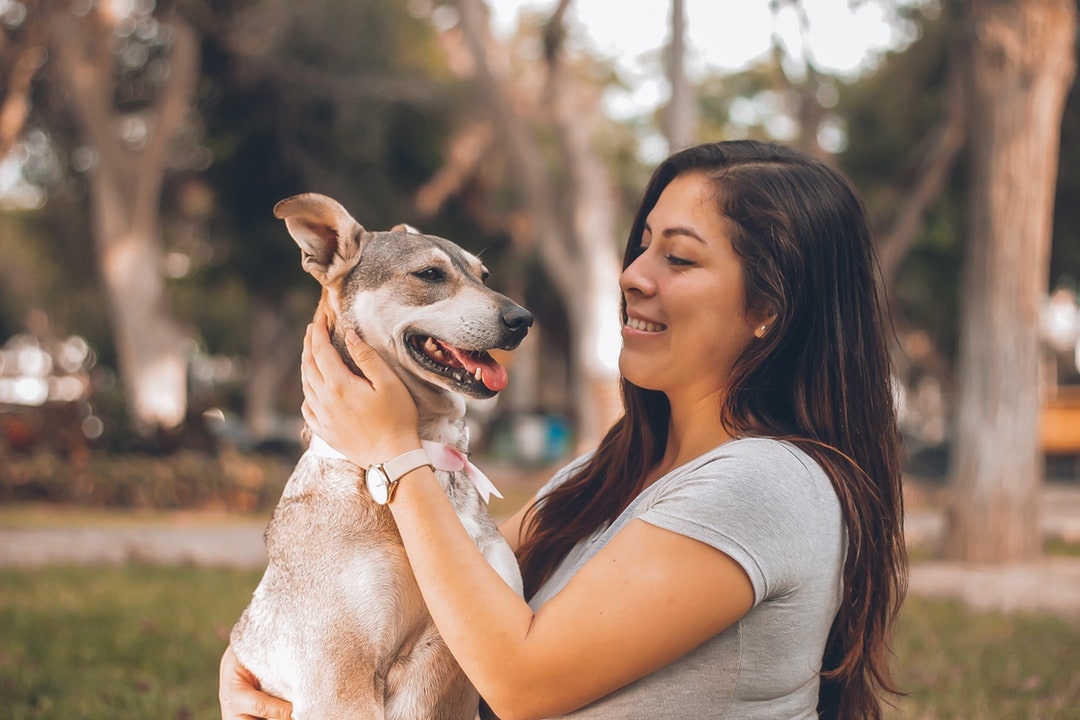 Pets in a Community: What Are HOA Restrictions on Pets in Chicago?